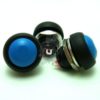 Blue pushbutton horn switch